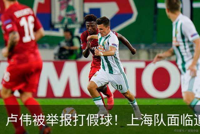 卢伟被举报打假球！上海队面临追罚，张镇麟坑惨球队